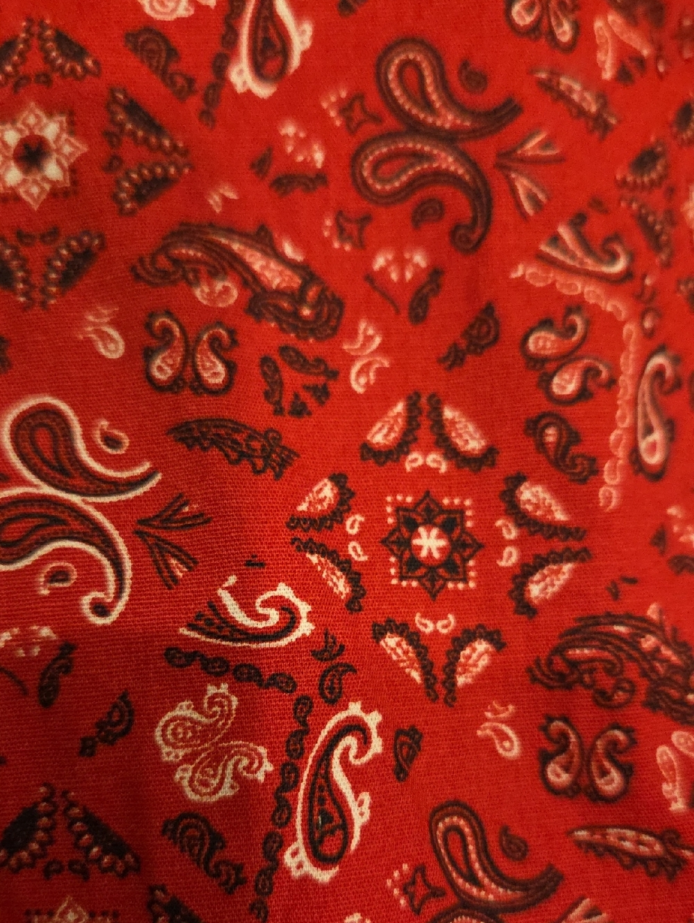 Panhandle Slim Rough Stock Women's Bandana Print  Western Shirt Size Large - Picture 10 of 10